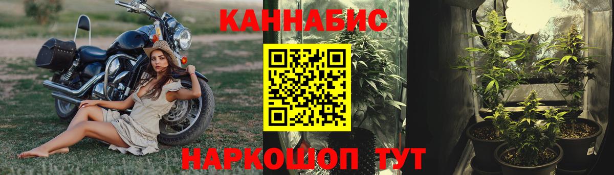 Каннабис White Widow Изобильный